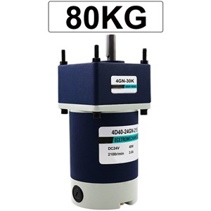 40W Micro Geared Reducer Motor DC 12V 24V Low Speed 10 To 600RPM High Torque 3.06 To 80KG Adjustable Speed Reversible Motor