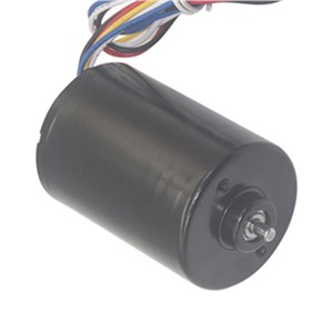 Micro DC High Speed Four-Pole Brushless Motor 12V 24V 4000/8000RPM Mini BLDC In DC Motors with Brake Low Noise Built-In Driver