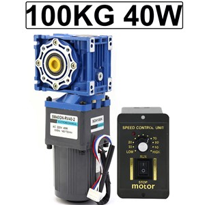 AC 220V Electric Worm Gear Motor 40W Low Speed 0.1-93RPM High Torque 34-100KG Forward Reverse Low Noise Motor with Speed Control
