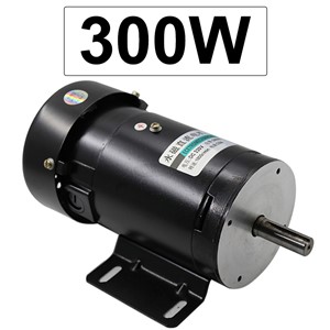 Permanent Magnet Electric DC 220V 1800RPM High Speed Motor DC High Torque in DC Motor Reversed & Adjustable Speed