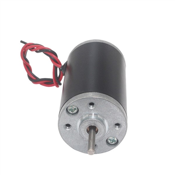 DC12-24V 4000rpm-8000rpm 31ZY Large Torque Permanent Magnetic Carbon Brushed Motor