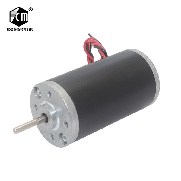 DC12-24V 4000rpm-8000rpm 31ZY Large Torque Permanent Magnetic Carbon Brushed Motor