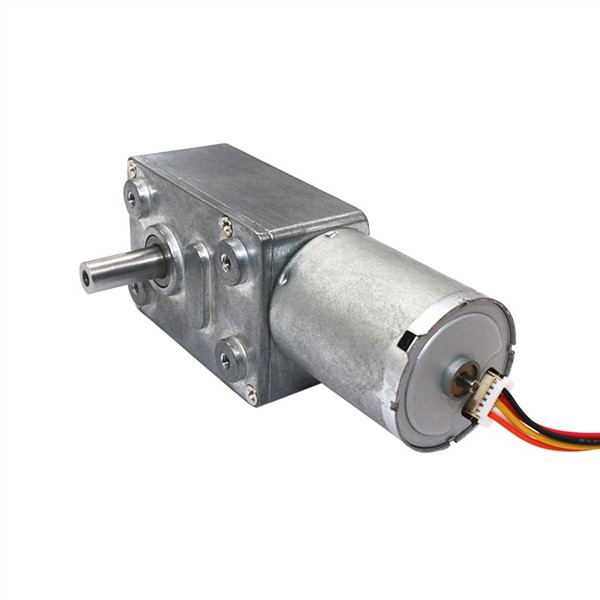Slow Speed Silent Long Life Brushless DC Turbo Worm Gear Motor Dual Shafts High Torque BLDC Worm Geared Motor JGY370-2430D