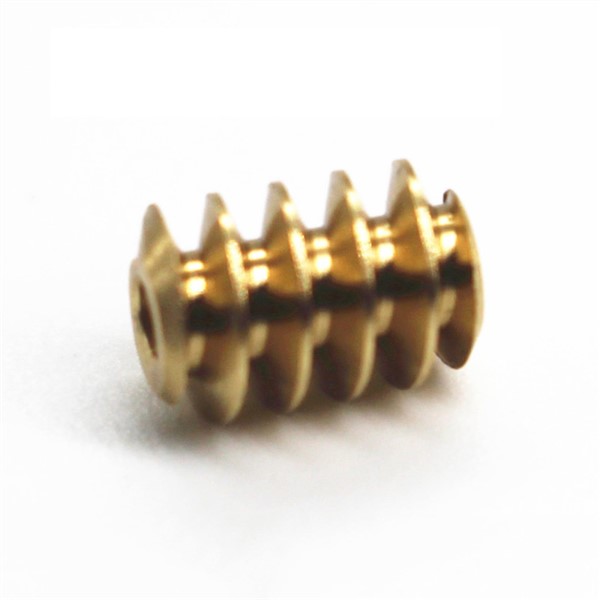 0.5m Gear Worm for Jgy370 Gear Motor