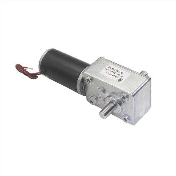5840-31zy DC12V 24V 12RPM to 470RPM CW/CCW Dual Shaft Reduction Worm Gear Motor for Automatic Clothes Hanger