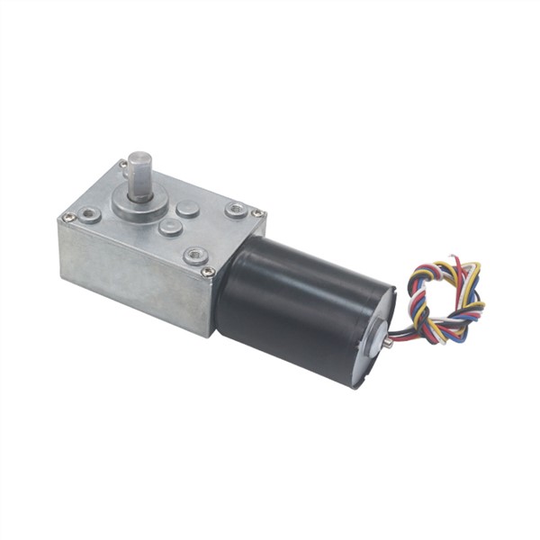 High-Power Low Noise 12v 24v Brushless DC Worm Gear Motor Long Life Silent Slow Speed High Torque Electric Reducer Motor