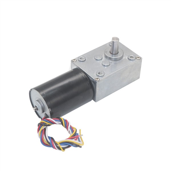 High-Power Low Noise 12v 24v Brushless DC Worm Gear Motor Long Life Silent Slow Speed High Torque Electric Reducer Motor