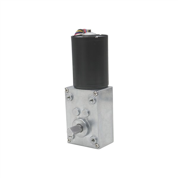 High-Power Low Noise 12v 24v Brushless DC Worm Gear Motor Long Life Silent Slow Speed High Torque Electric Reducer Motor