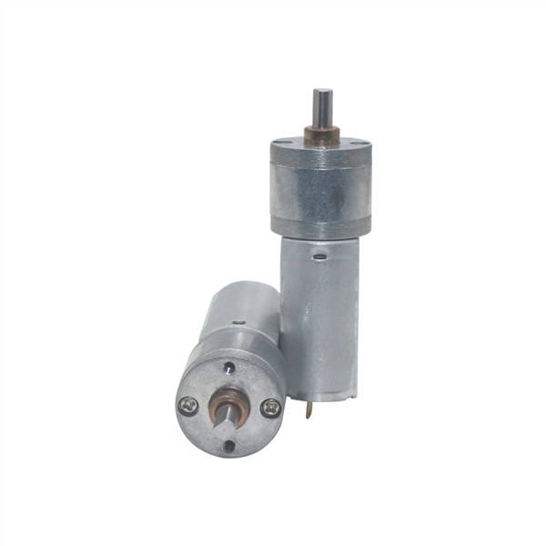 20mm Diameter Gearbox 24rpm to 480RPM Large Torque Geared Motor Low Voltage Brush Spur Micro DC GearMotor for BEAUTY_HAIR