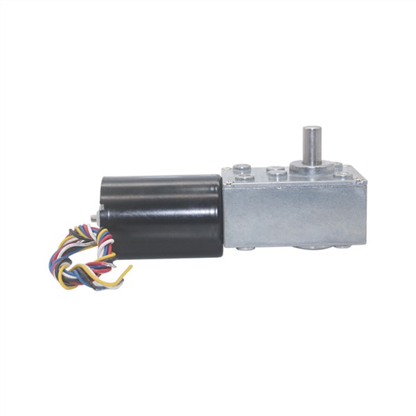 5840-3650 BLDC Worm Geared Motor 12V 24V DC High Power High Torque Silent Brushless Worm Gear Motor for Curtain Machine