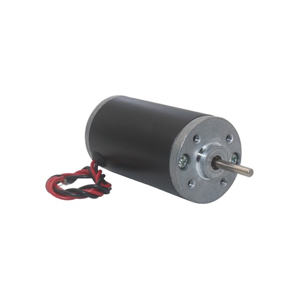 DC12-24V High Torque Speed Permanent Magnetic Carbon Brush Motor Micro High-Power CW/CCW Reversible High Speed Tubular Motor