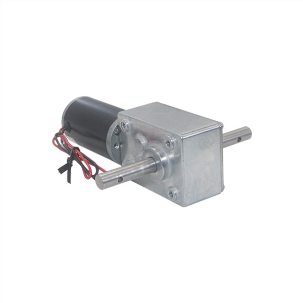 5840-31ZY Long Output Axis Worm Geared Motor 12V 24V DC Large Torque High-Power Dual Shafts Worm Gear Motor