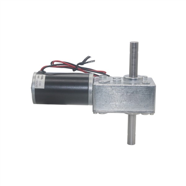 5840-31ZY Long Output Axis Worm Geared Motor 12V 24V DC Large Torque High-Power Dual Shafts Worm Gear Motor