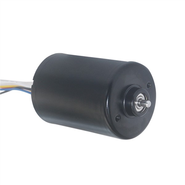 CW/CCW PWM Adjustable Speed Mini BLDC 12v 24v High Speed Long Life Silent Brake Micro Tubular DC Brushless Motor