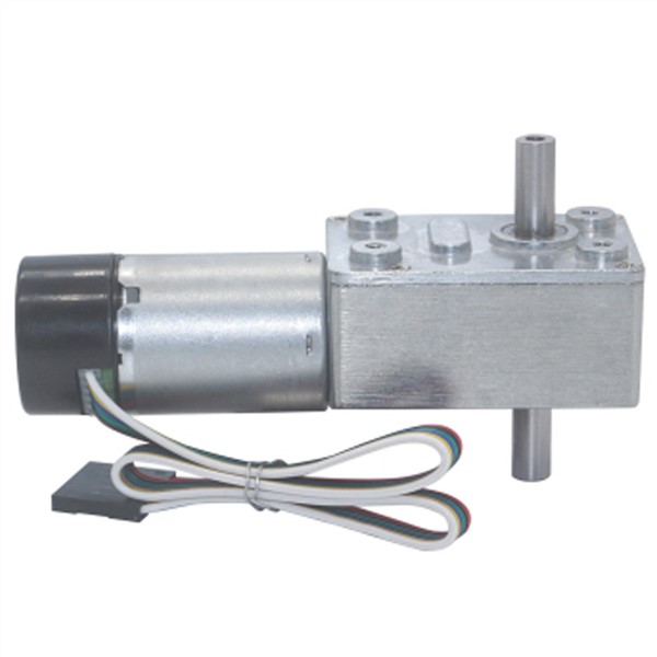 Micro DC Electric Double Shaft Worm Geared Motor 6V 12V 24V with Dual Shaft Encoder Low Speed 6-150RPM in DC Motor Self Locking