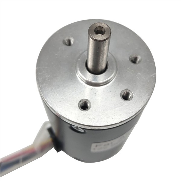 12V 24V Micro Brushless DC High Speed Motor 2000 To 5000RPM DC 12V 24V Reversed Adjustable Speed BLDC Motor Built-in Driver