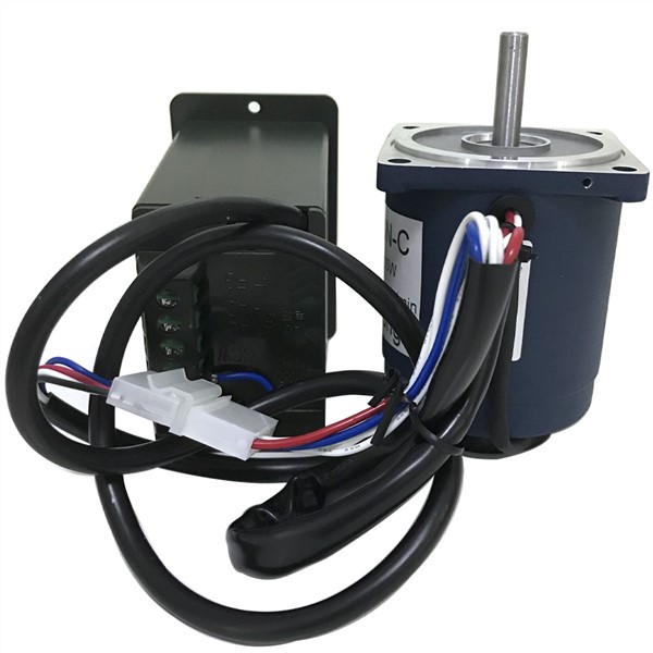 220V Electric Micro AC High Speed Motors Single Phase 40W 1400/2800RPM Induction Motor with High Torque Speed Control Reversible