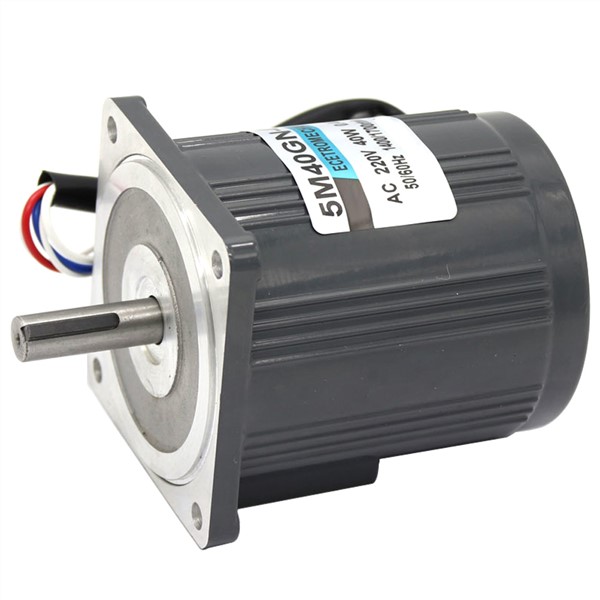 220V Electric Micro AC High Speed Motors Single Phase 40W 1400/2800RPM Induction Motor with High Torque Speed Control Reversible