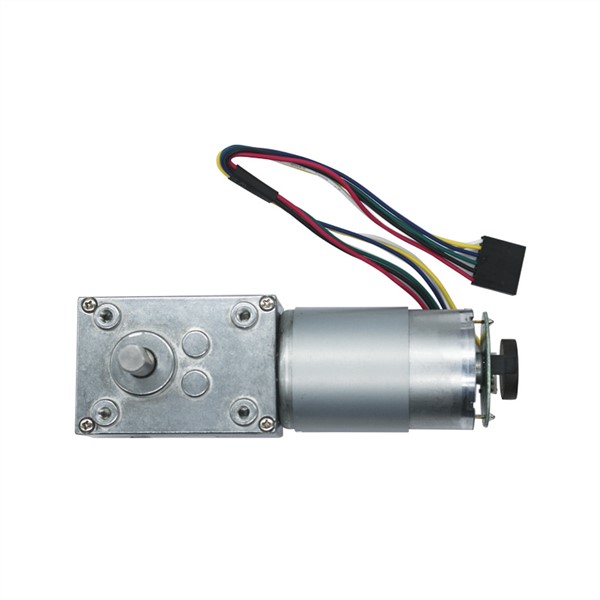 58mm*40mm Gearbox Reversed DC Worm Gear Motor with 16PPR Hall Sensor Encoder Strong Torque Worm Geared Motor 5840-555