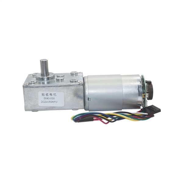 58mm*40mm Gearbox Reversed DC Worm Gear Motor with 16PPR Hall Sensor Encoder Strong Torque Worm Geared Motor 5840-555