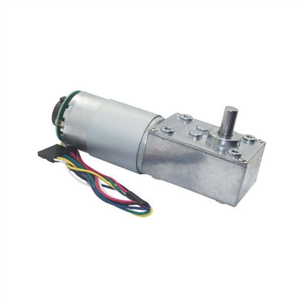 58mm*40mm Gearbox Reversed DC Worm Gear Motor with 16PPR Hall Sensor Encoder Strong Torque Worm Geared Motor 5840-555