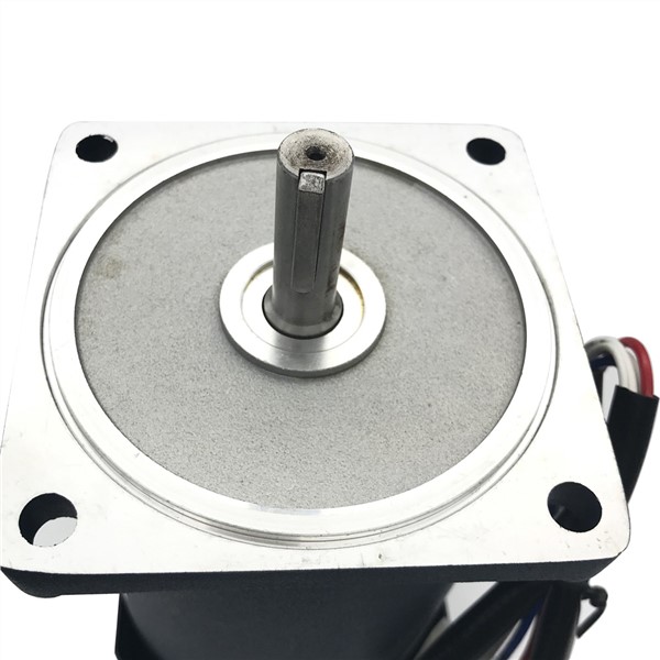 220V Electric Micro AC High Speed Motors Single Phase 200W 1400/2800RPM Induction Motor with High Torque Speed Control Reversed