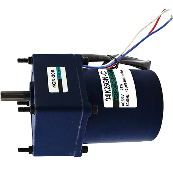 Micro AC Single Phase Electric Induction Motors 220V 10 To 500RPM Low Speed AC Reversible Motor Low Noise Long Life Fixed Speed