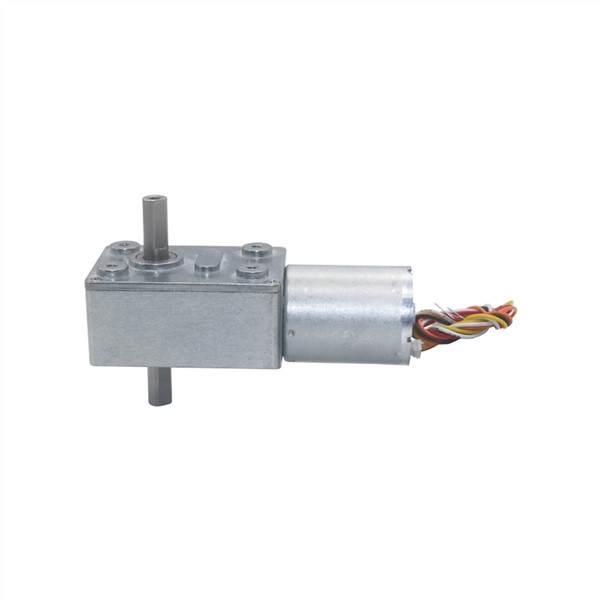 Double Shafts PWM Control Speed Measuring Velocity Brushless Worm Gear Motor Low Noise Long Life Geared Brushless Motor