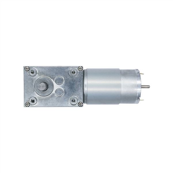 Strong Torque WORM DRIVE REDUCER 60kg. Cm for Curtain Vending Advertisement Machine Worm Geared Motor 5840-555