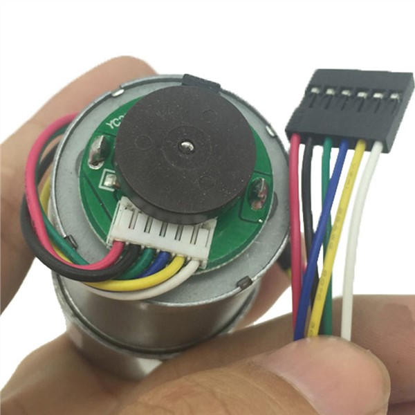 Micro DC Permanent Magnet Hall Encoder Geared Motor 12V 24V in High Torque DC Motor 5-1230RPM Reversed & Speed Can Be Measured