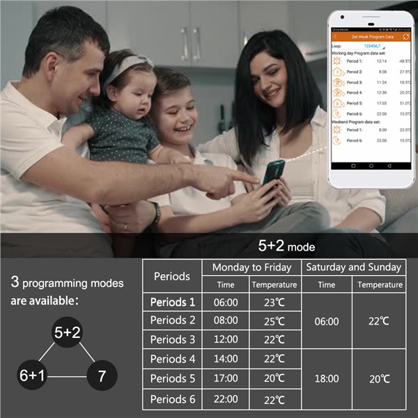 New WiFi Thermostat for Gas Boiler 220V Powered Weekly Programmable Work with -Google Home Alexa