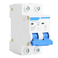 DZ47-63 2P Miniature Circuit Breaker Leakage Protection Air Switch 400VAC Air Circuit Breaker