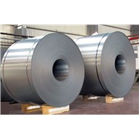 Hot-Rolled or Cold Rolled Stainless Steel Coils (304, 304L, 316, 316L, 321, 310S, 309S)