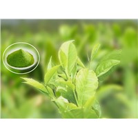 Green tea supplements