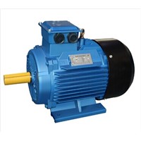 Y2 series cast iron three phase ac induction motor