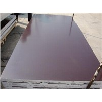 Anti-Slip Black Film Faced Plywood