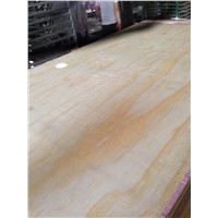 China MR,WBP Melamine plywood,red hardwood plywood