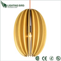 Fashion modern Pendant Lamp,factory price
