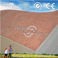 Standard Size BB/CC 18mm Bintangor Plywood for Dubai Market