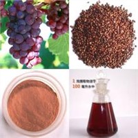 Grape Seed Products Extract