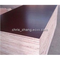 Brown Film Faced Plywood