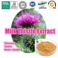 iso milk thistle powder silymarin 80% silybin 30% powder