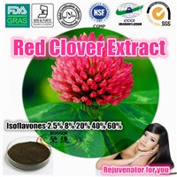 natural 40% isoflavones red clover extract
