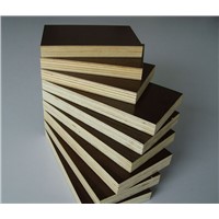 CE Qualified plywood brown film faced plywood for concrete formwork use(PLYWOOD MANUFACTURER)