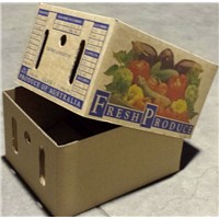 carton box for fruit