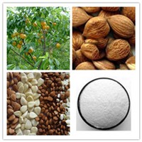 Apricot Seed Extract Vitamin B17 Bitter Almond Extract