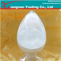 Methyl Cellulose
