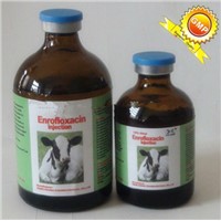 enrofloxacin 10% oral solution
