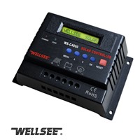 Big Promotion WELLSEE WS-C4860 50A 48V solar panel controller
