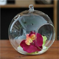 Transparent Glass Ball Terrarium Candle Holder Creative Glass Home Decorative
